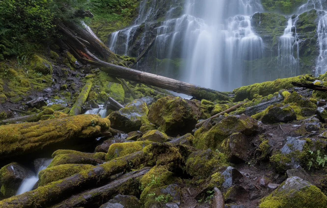 Photo wallpaper stones, waterfall, moss, log