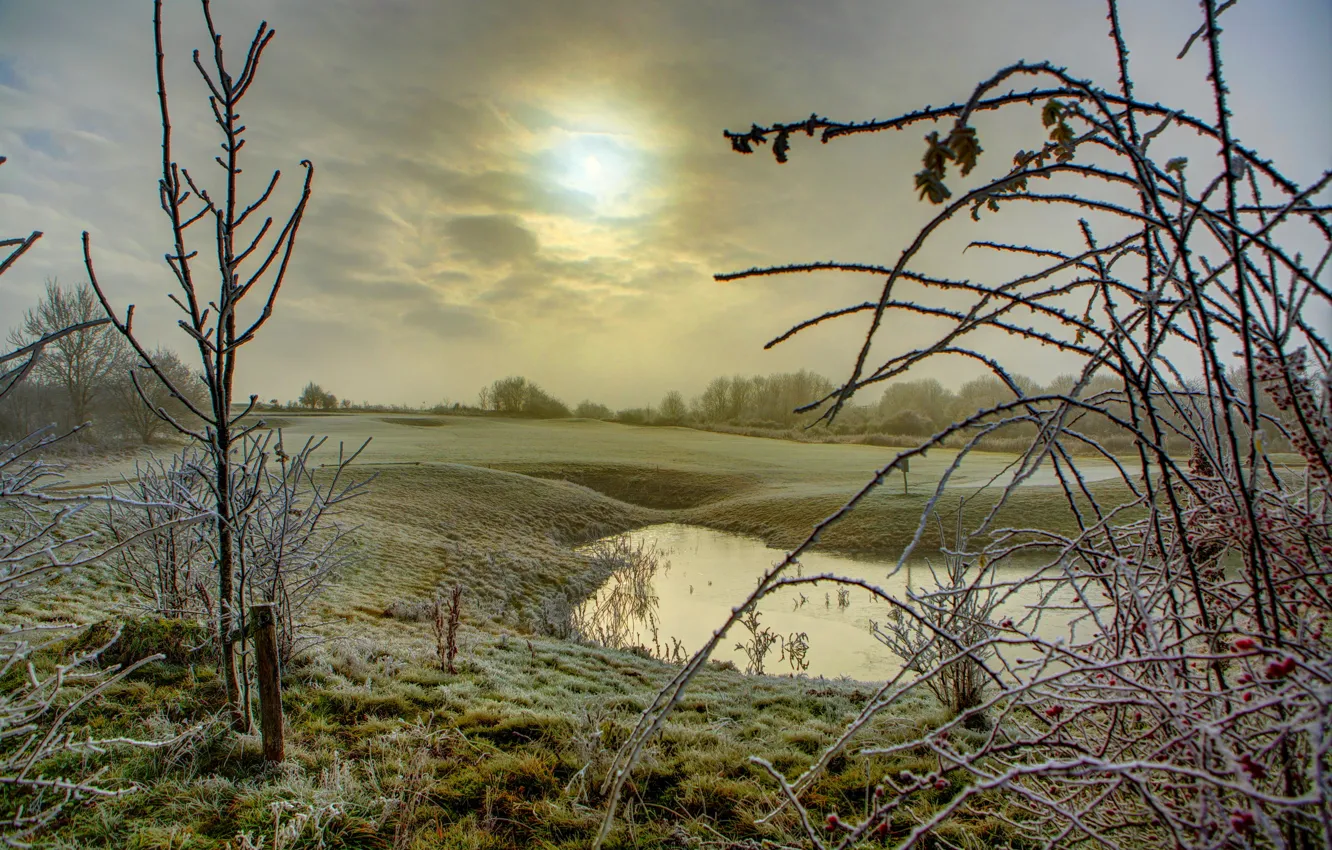 Photo wallpaper winter, the sky, clouds, snow, glade, the bushes, pond