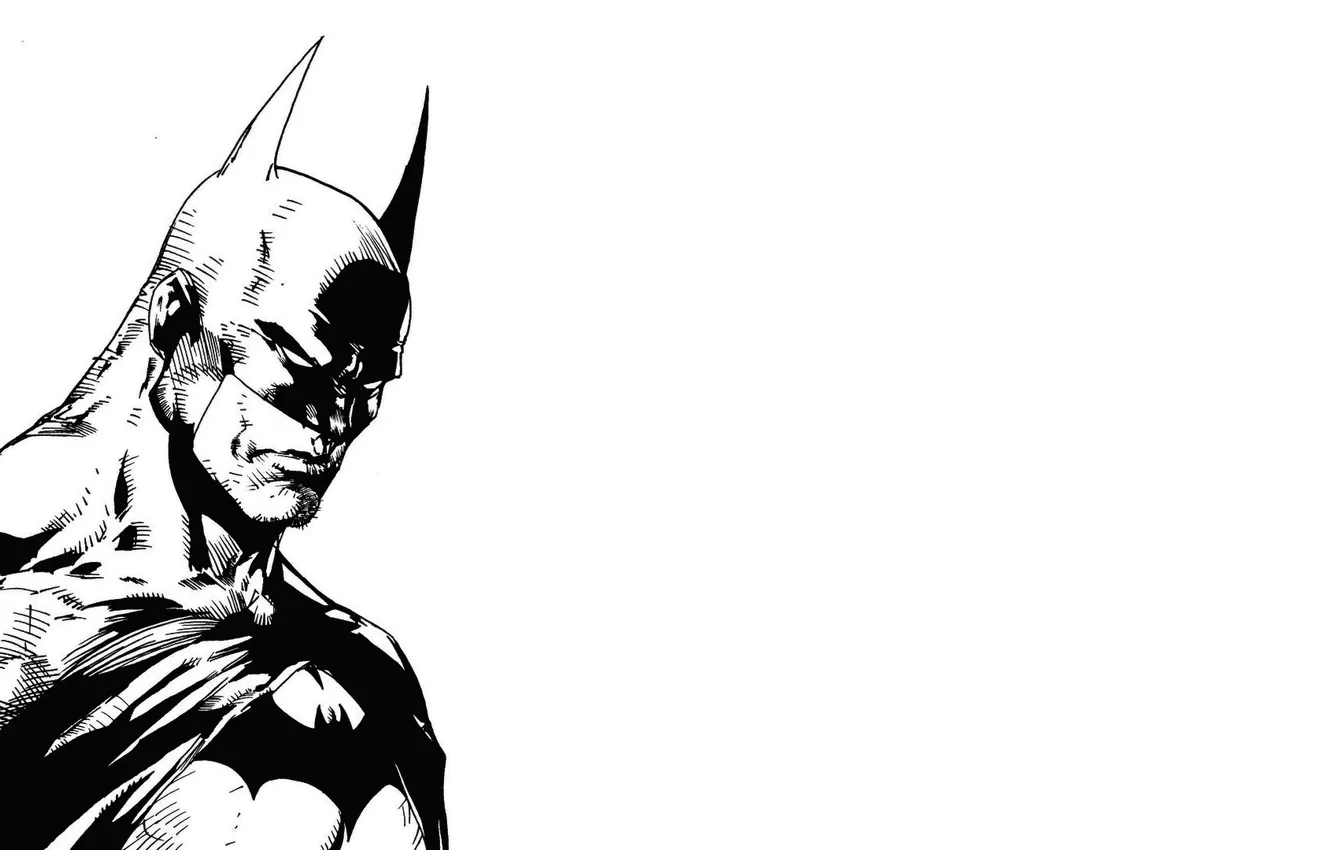 Photo wallpaper Batman, black and white, Batman, superhero, comic