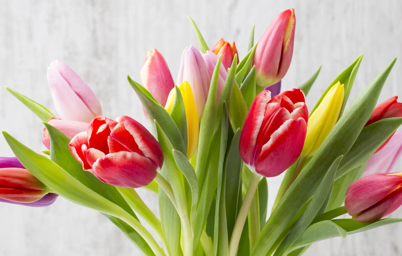 Photo wallpaper flowers, bouquet, colorful, tulips, fresh, wood, flowers, beautiful