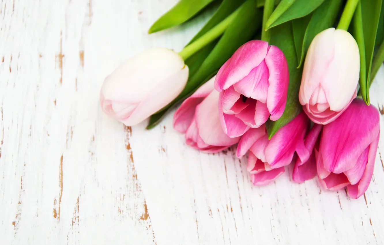 Photo wallpaper white, table, background, bouquet, tulips, gentle, pink, wood