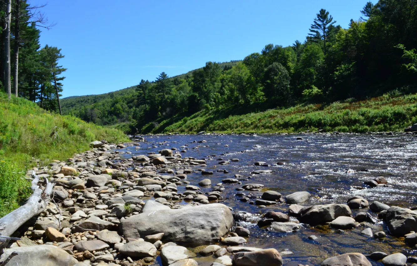 Photo wallpaper forest, nature, stones, mountain river