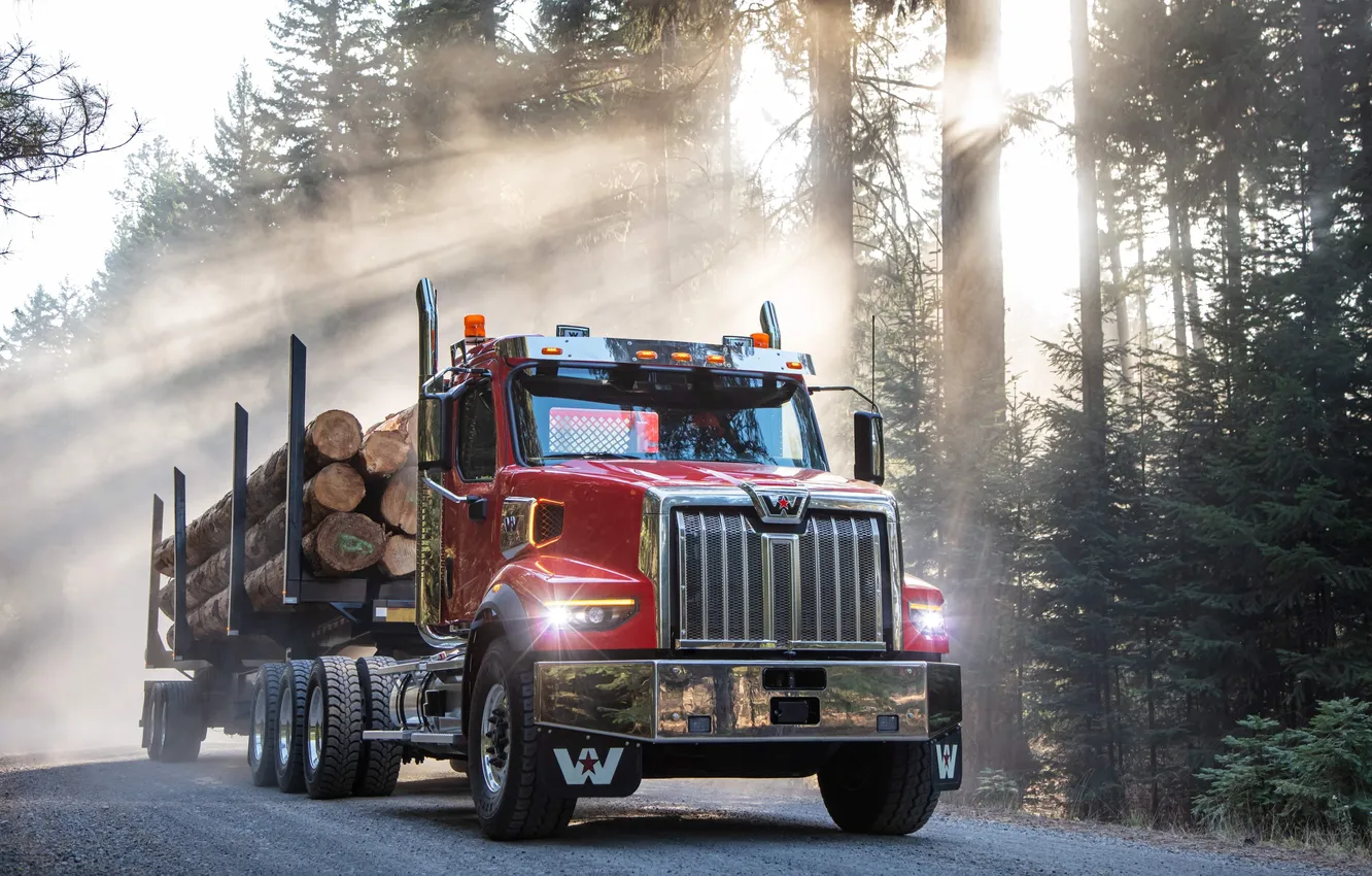 Photo wallpaper sunlight, Semi, Logging truck