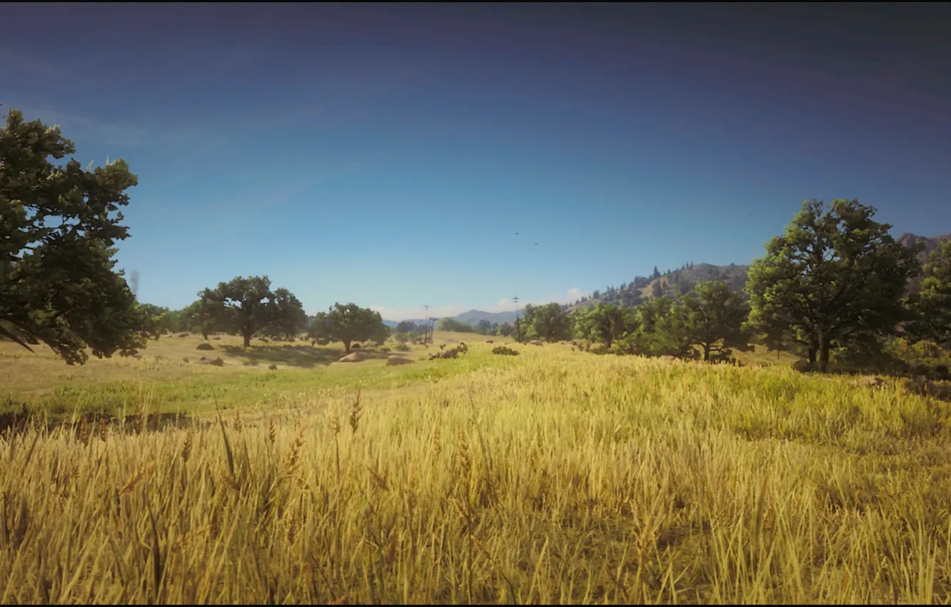 Photo wallpaper Landscape, Game, Summer, prairie, Natur, Red Dead Redemption 2, Xbox One X, RDR2