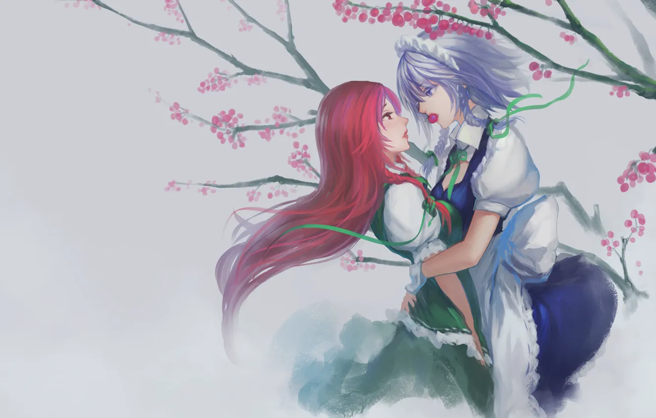 Photo wallpaper girl, long hair, touhou, hong meiling, Izayoi Sakuya, Touhou