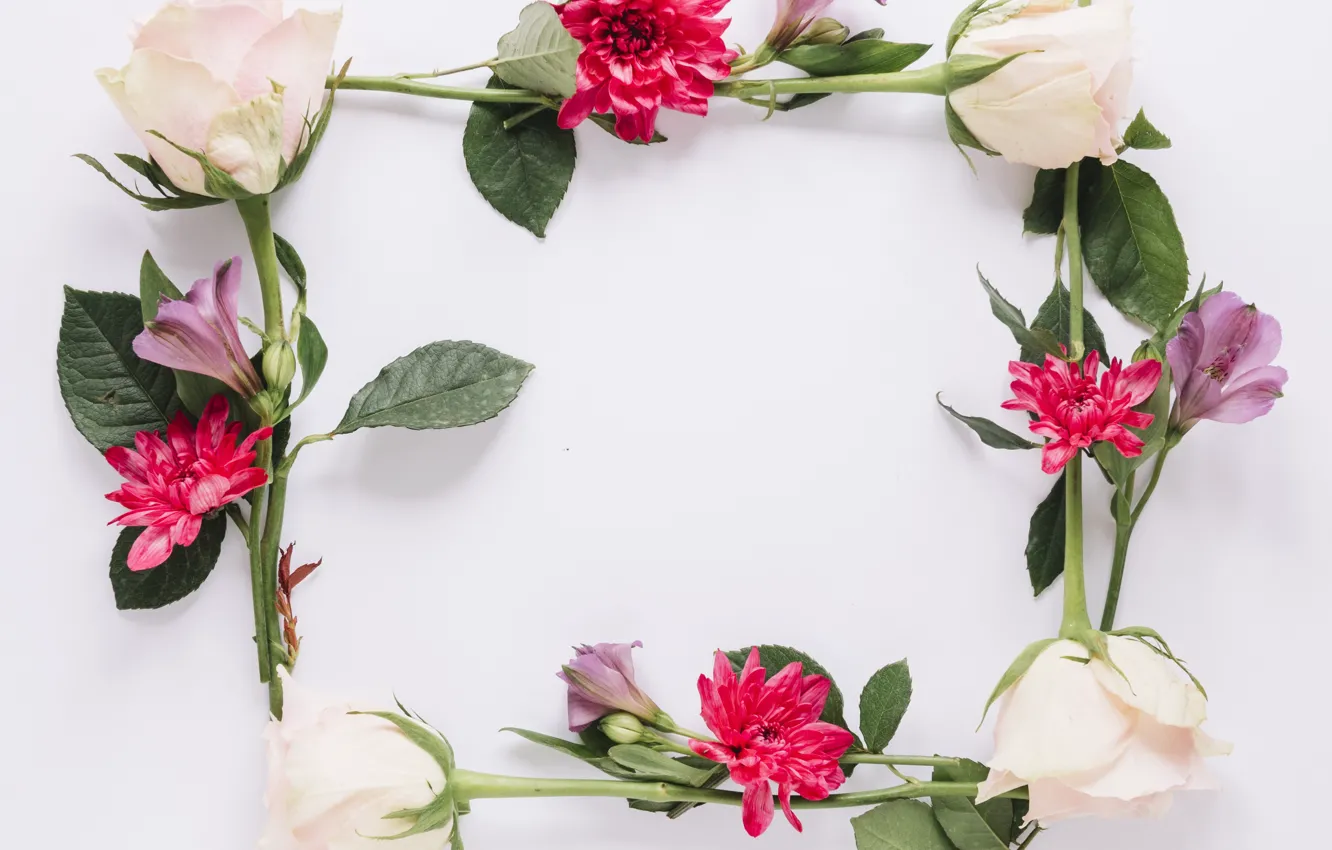 Photo wallpaper flowers, roses, frame, colorful, chrysanthemum, flowers, roses, frame