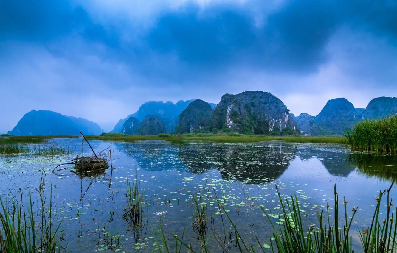 Photo wallpaper grass, mountains, fog, river, rocks, reed, Vietnam