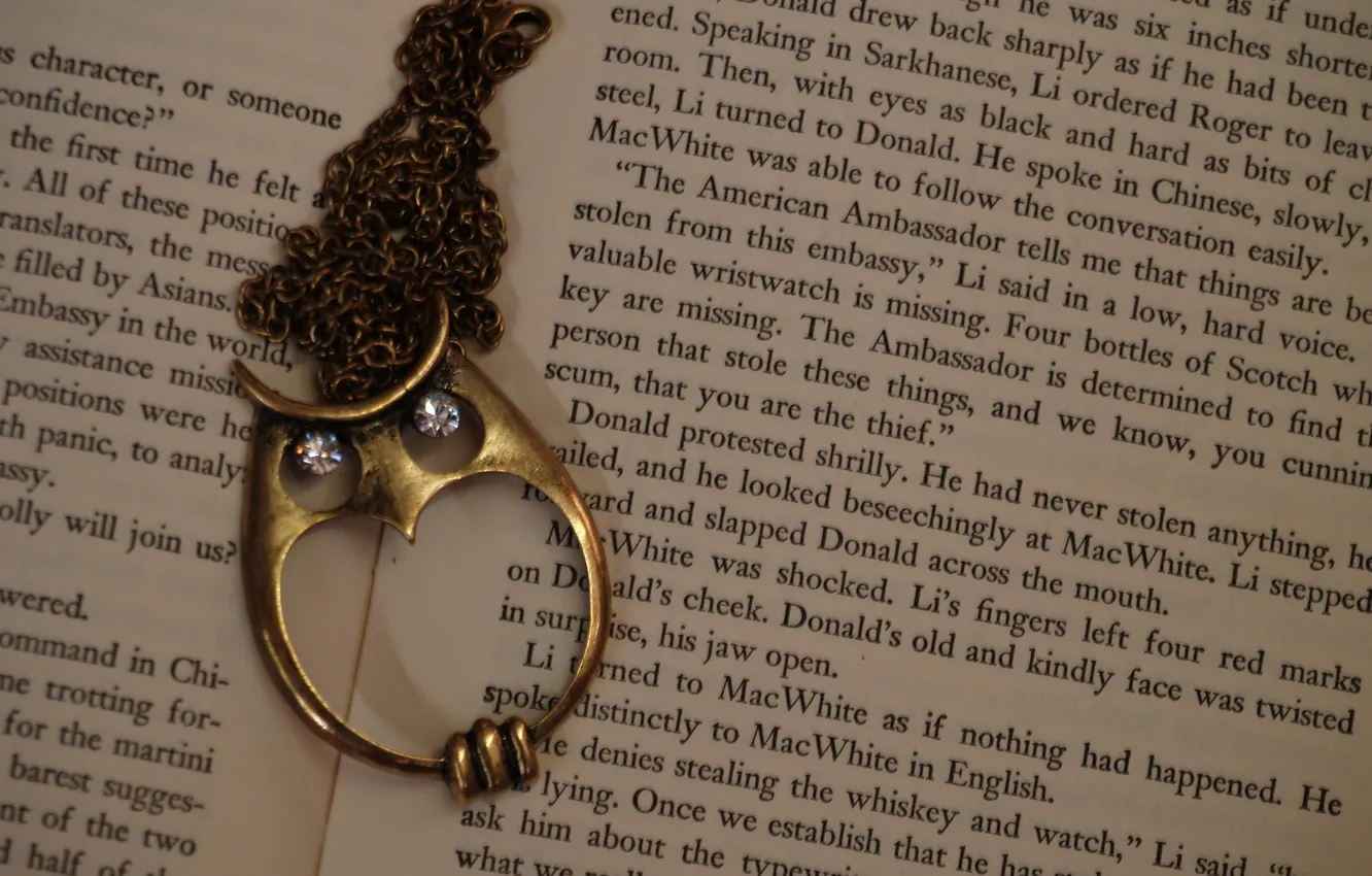 Photo wallpaper text, owl, book, page, suspension