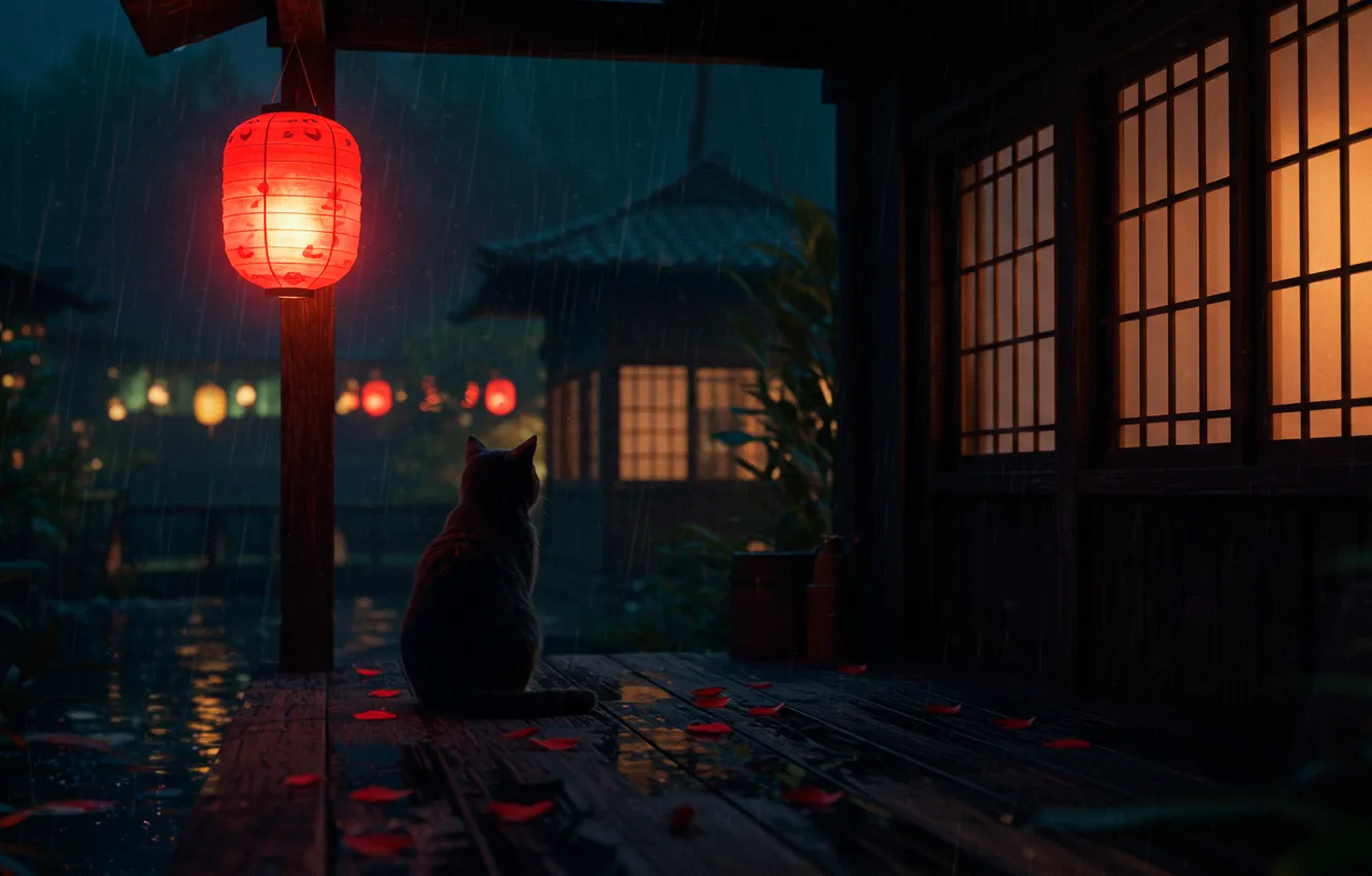 Photo wallpaper cat, night, rain, Wallpaper, street, art, lights, wallpaper