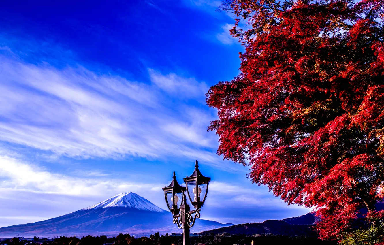 Photo wallpaper the sky, tree, mountain, Japan, lantern, Fuji, fuji