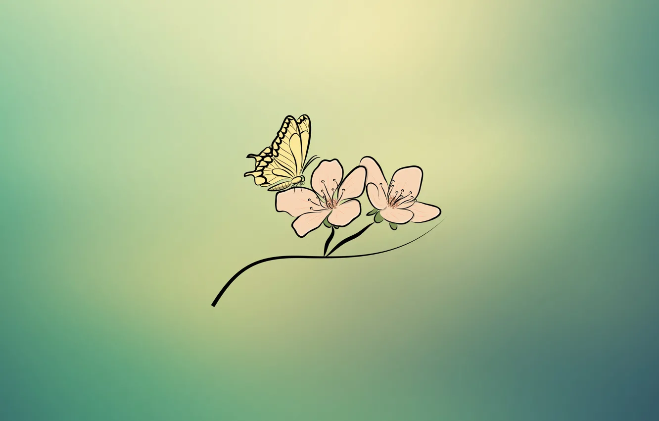 Photo wallpaper flower, butterfly, illustration