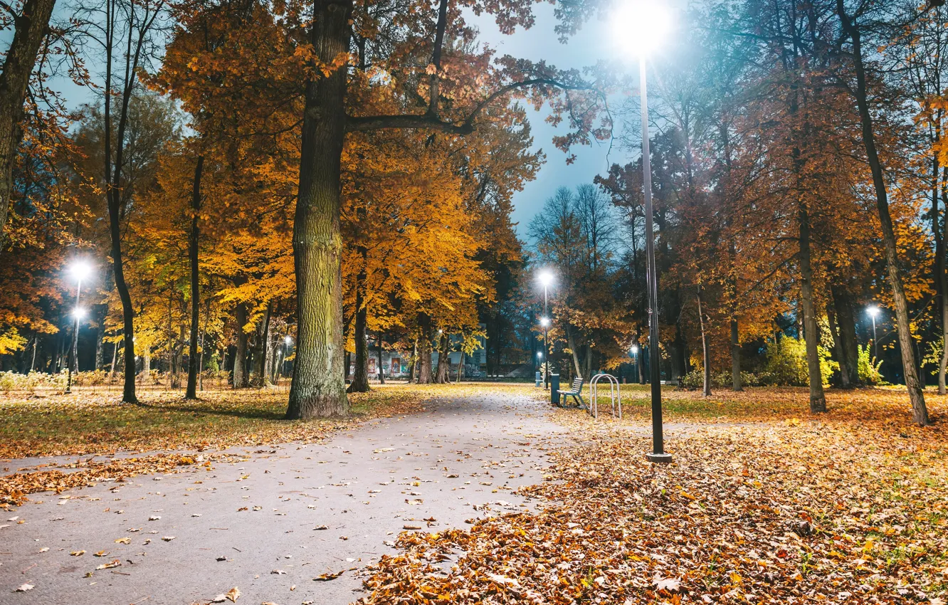 Photo wallpaper Lithuania, Kaunas, autumn