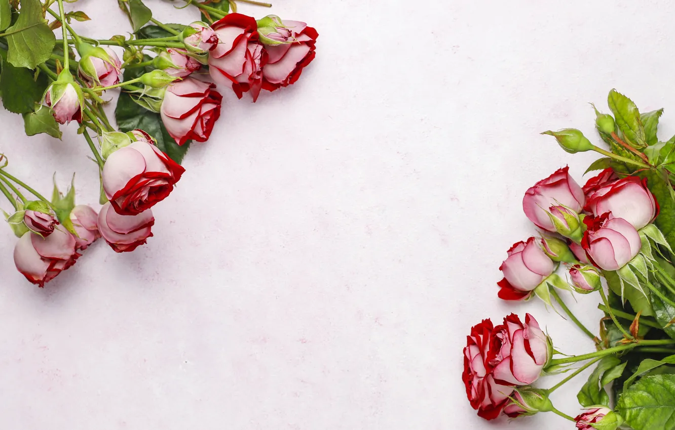 Photo wallpaper roses, bouquet, composition
