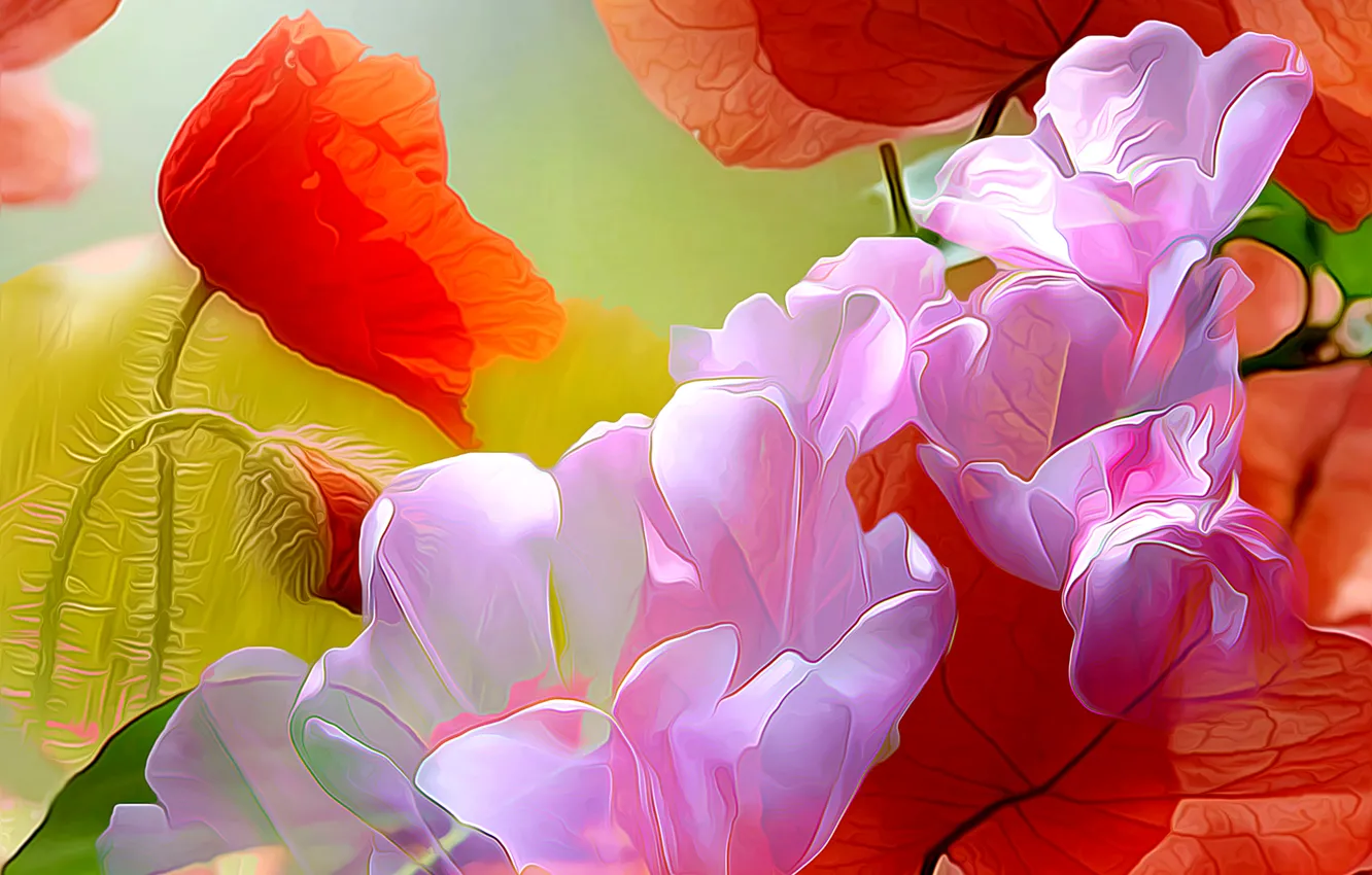 Photo wallpaper line, flowers, abstraction, paint, Mac, petals, touch
