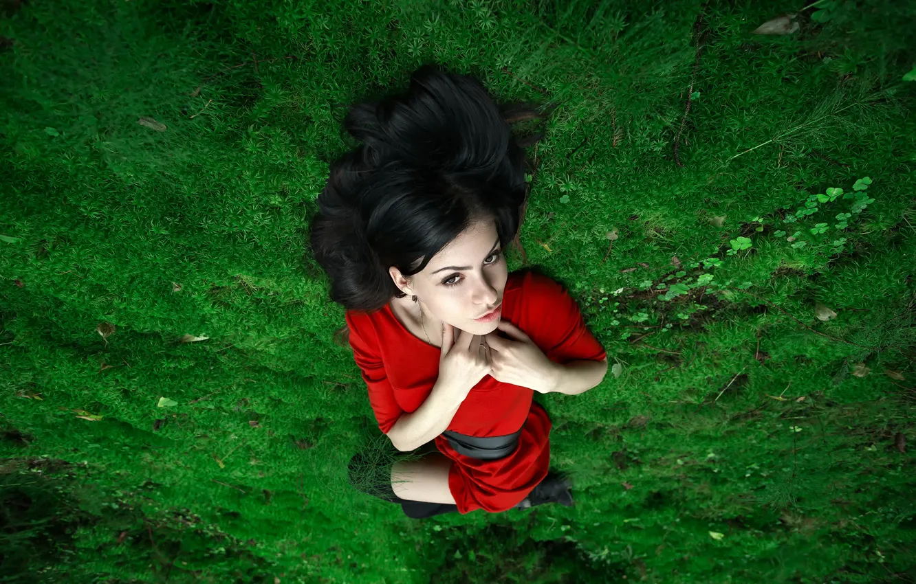 Photo wallpaper girl, moss, dress, in red