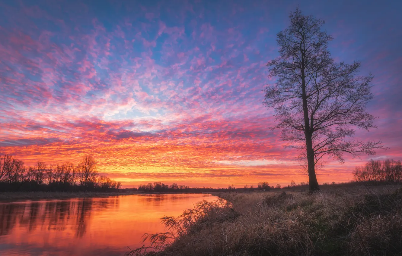 Photo wallpaper the sky, water, trees, sunset, nature, river, the evening, Tomczak Michael