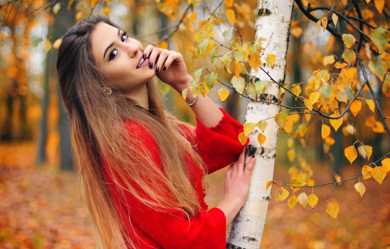 Photo wallpaper autumn, forest, look, girl, trees, branches, red, pose