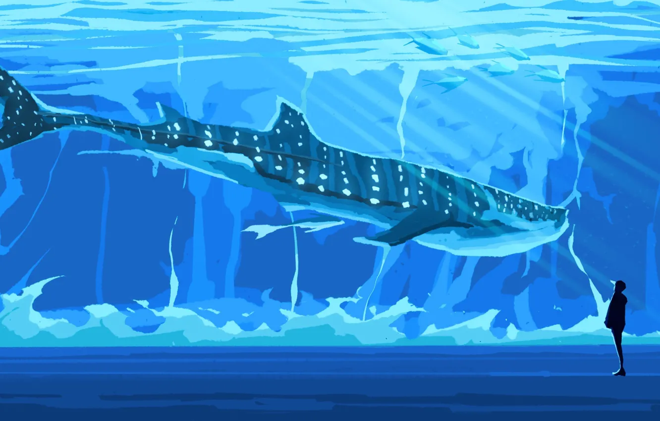 Photo wallpaper shark, guy, aquarium, Fangpeii
