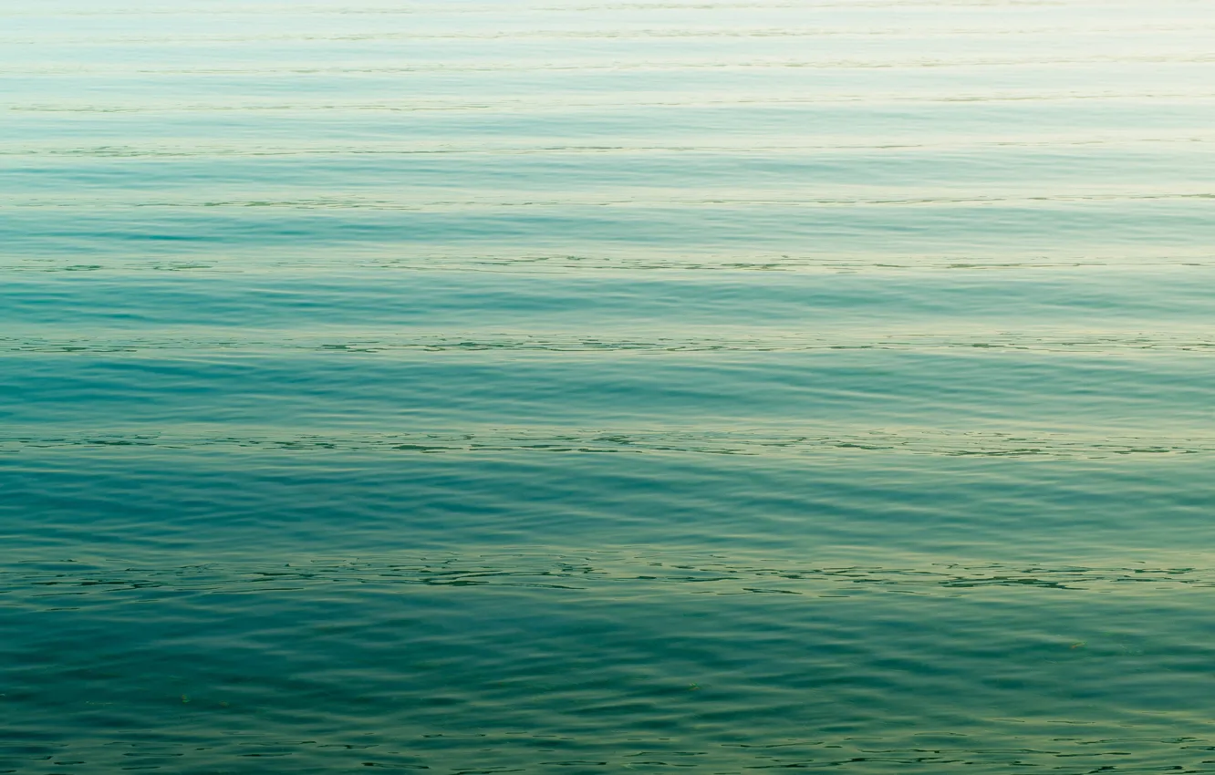Photo wallpaper htc, sense, HTC ONE M8, One M8, Sense 6