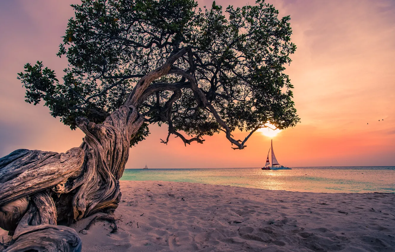 Photo wallpaper sand, trees, landscape, sunset, nature, the ocean, shore, boat