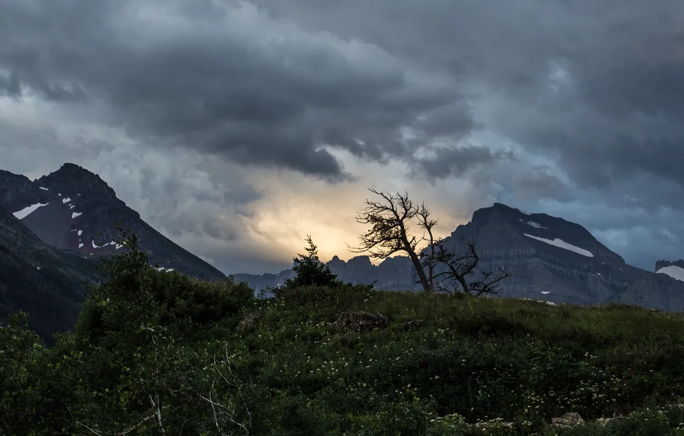 Photo wallpaper the sky, trees, mountains, clouds, nature, rocks, morning, USA