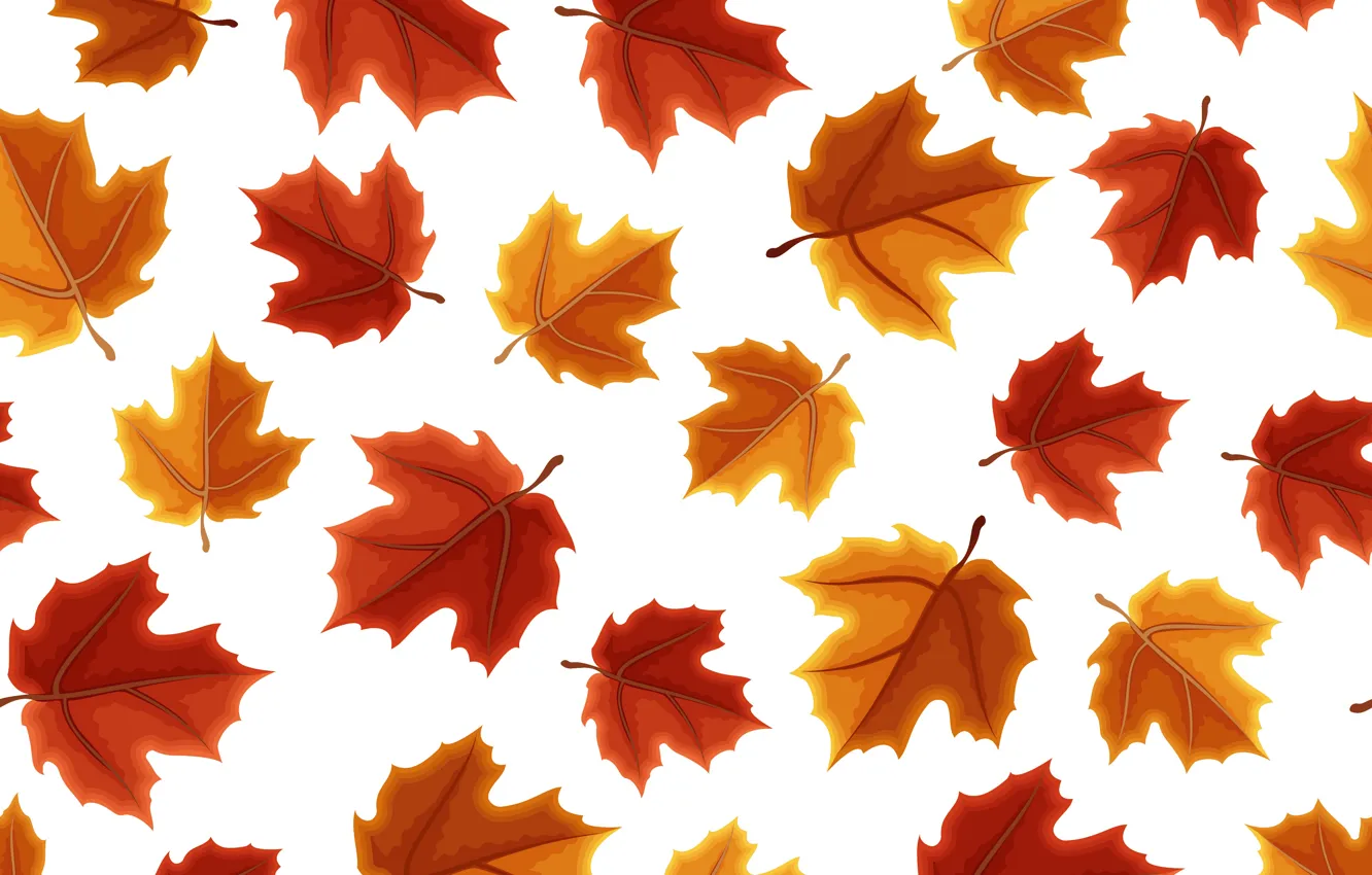 Photo wallpaper autumn, leaves, background, colorful, maple, background, autumn, pattern