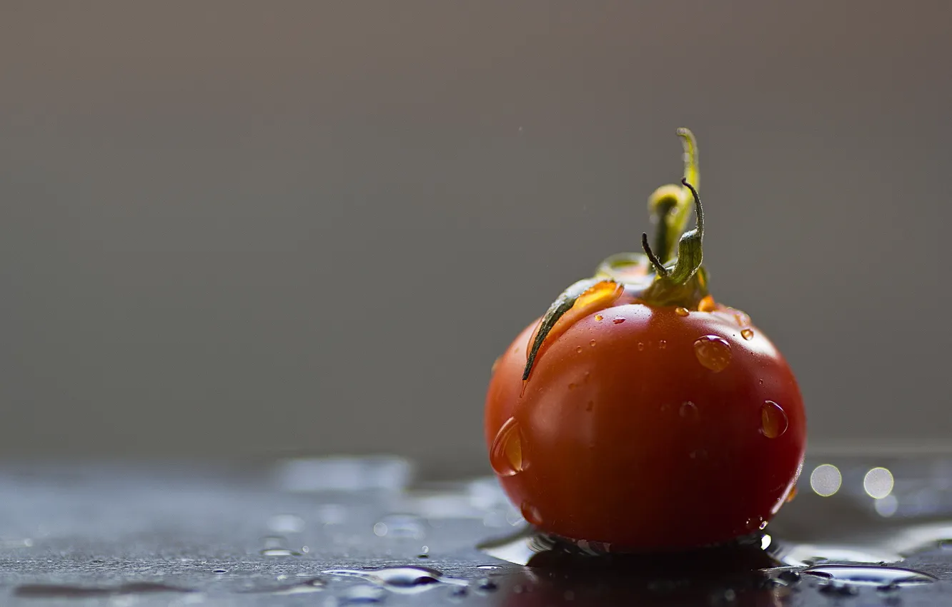Photo wallpaper drops, food, tomato