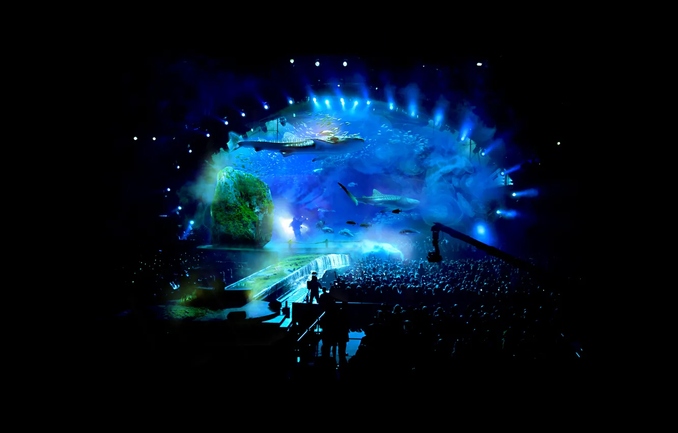 Photo wallpaper Blues, Music, people, crowd, Stefan Lührmann, aquarium, stage