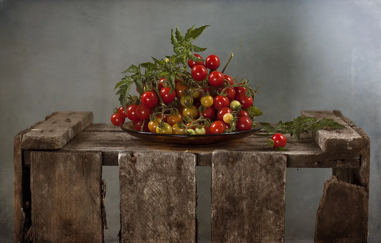 Photo wallpaper background, box, tomatoes