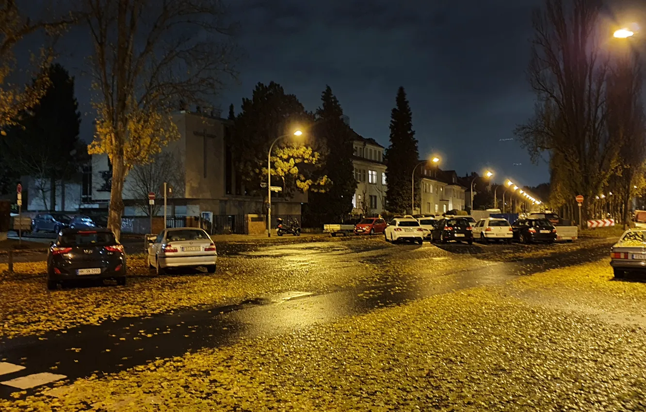 Photo wallpaper autumn, night, Germany, Frankfurt