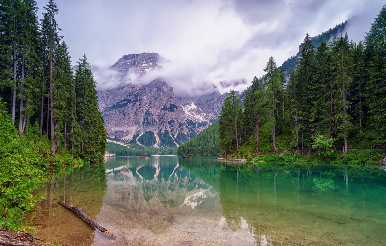 Photo wallpaper forest, clouds, mountains, fog, comfort, lake, reflection, rocks