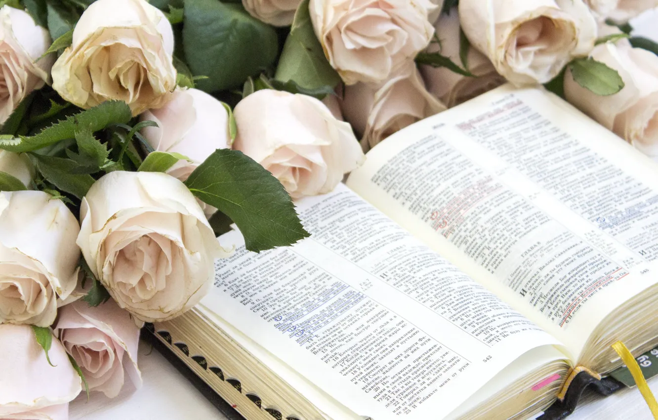 Photo wallpaper flowers, roses, Book, reading