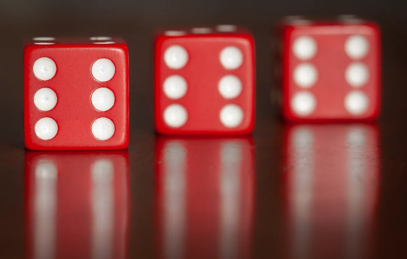 Photo wallpaper macro, the game, bones