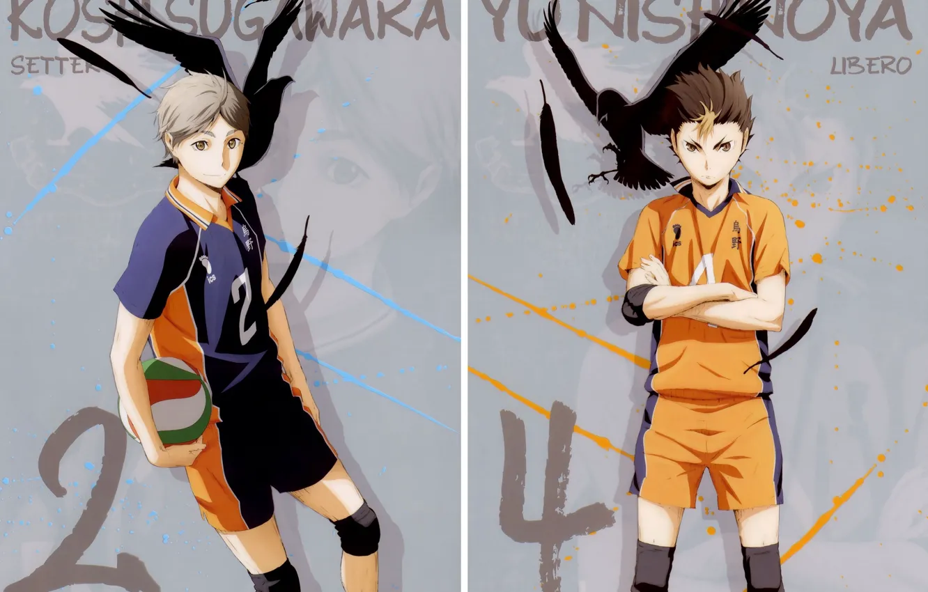Photo wallpaper the ball, feathers, crows, guy, sports uniforms, haikyuu!!, Volleyball!, Yu Nishinoya
