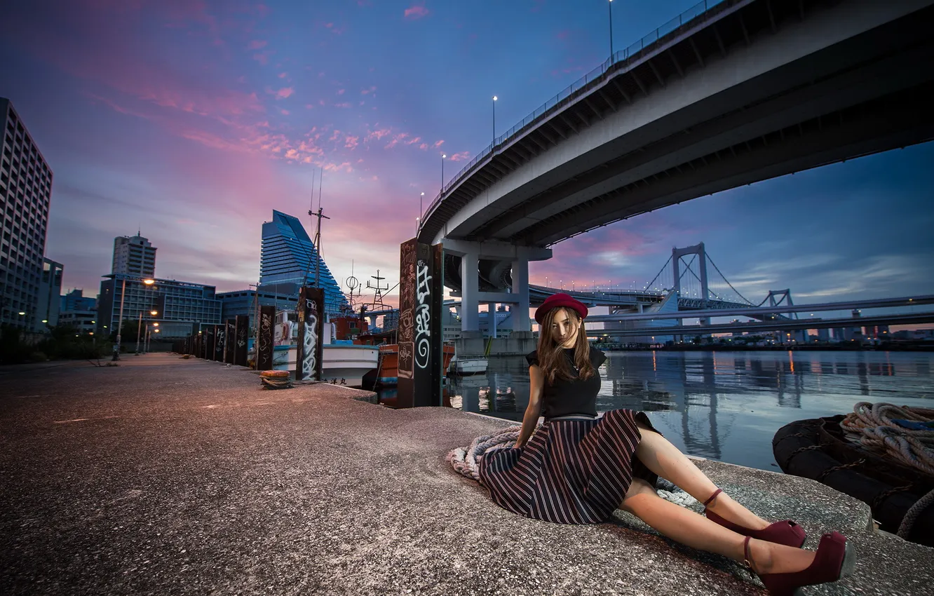 Photo wallpaper girl, bridge, the city