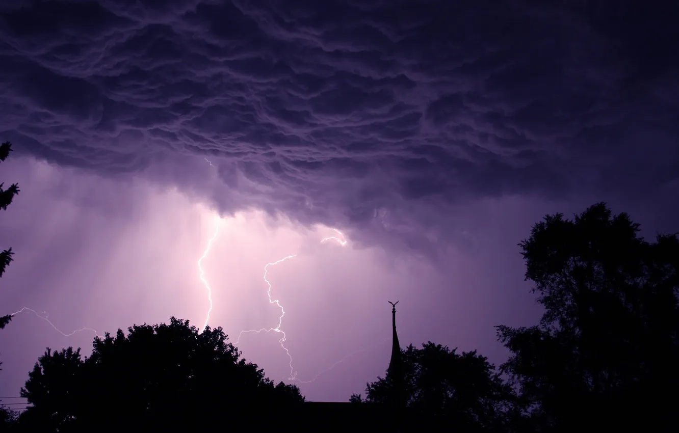 Photo wallpaper the storm, the sky, clouds, trees, lightning, twilight