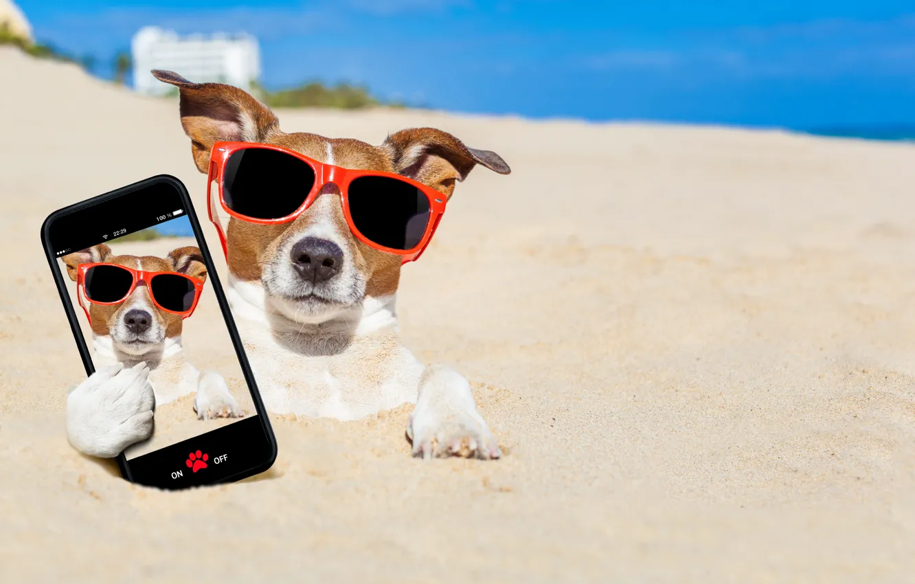 Photo wallpaper sand, sea, beach, the sun, photo, photoshop, humor, glasses