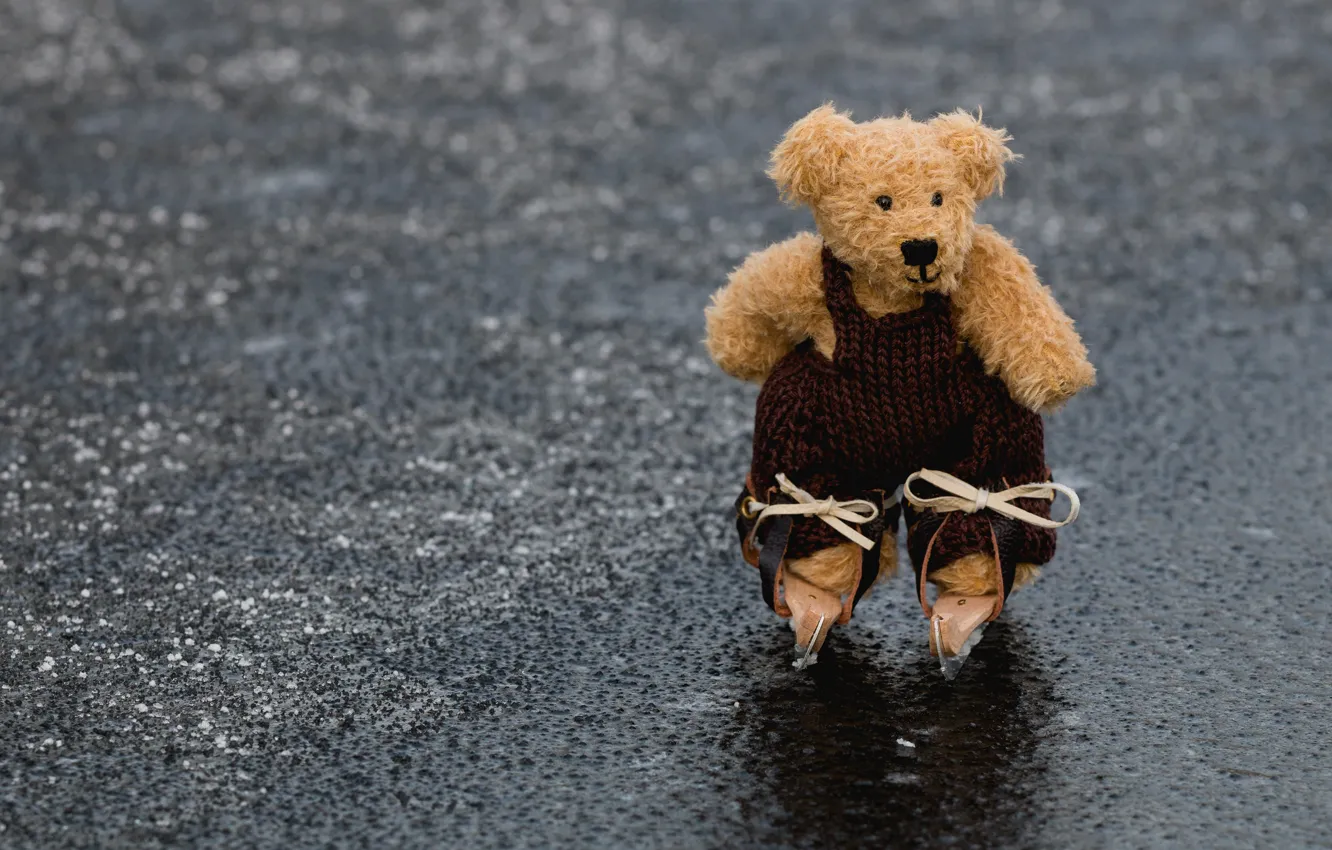 Photo wallpaper ice, grey, background, mood, clothing, toy, bear, bear