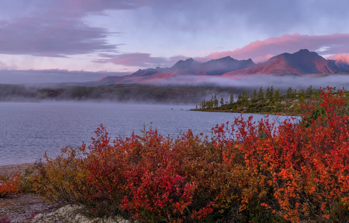 Photo wallpaper the sky, clouds, trees, mountains, nature, lake, rocks, haze