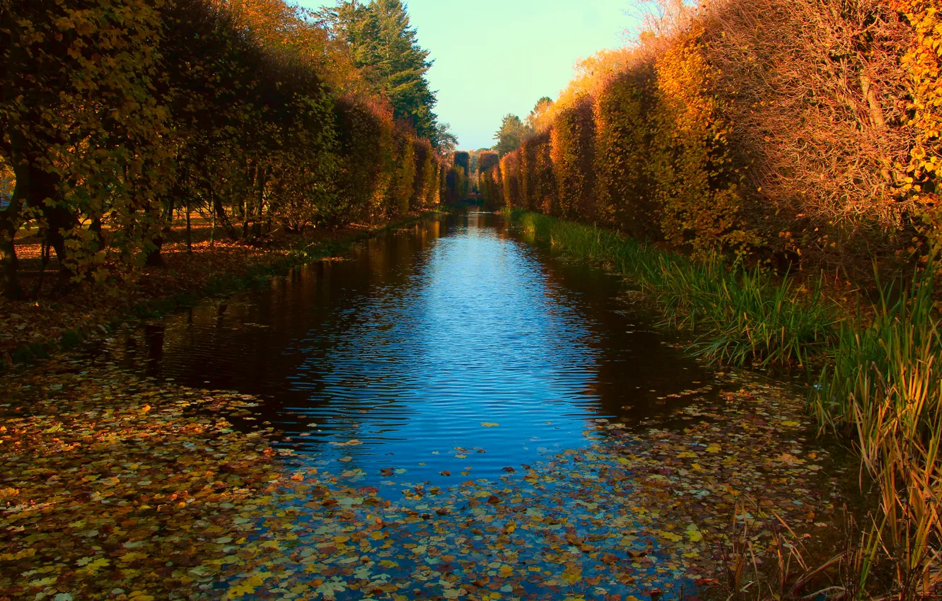 Photo wallpaper park, autumn, pond, fall