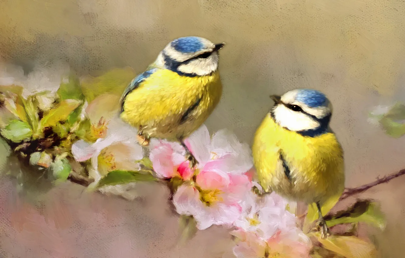 Photo wallpaper branches, bird, two, tit