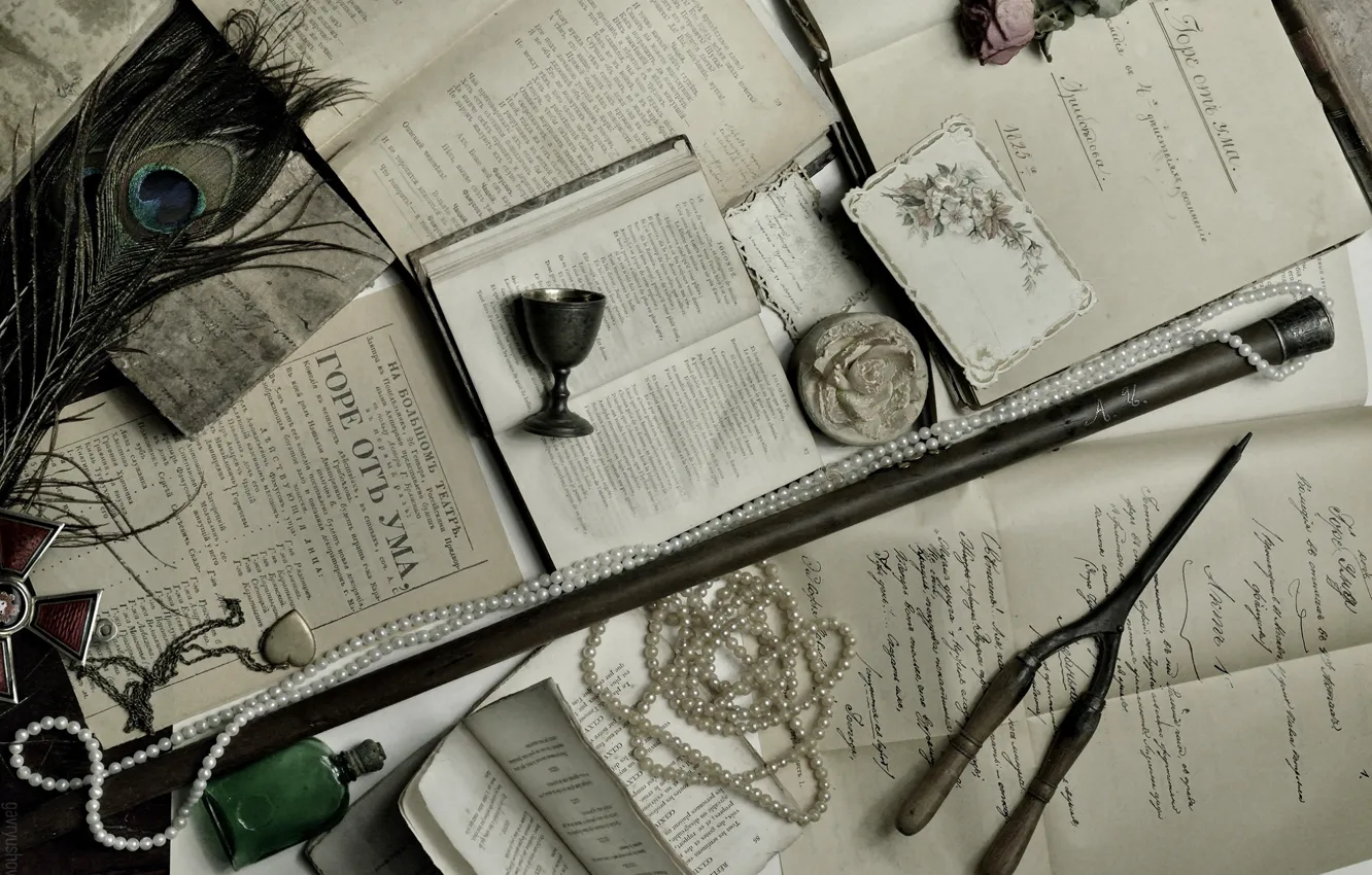 Photo wallpaper retro, pen, books, roses, necklace, pendant, glass, Griboyedov