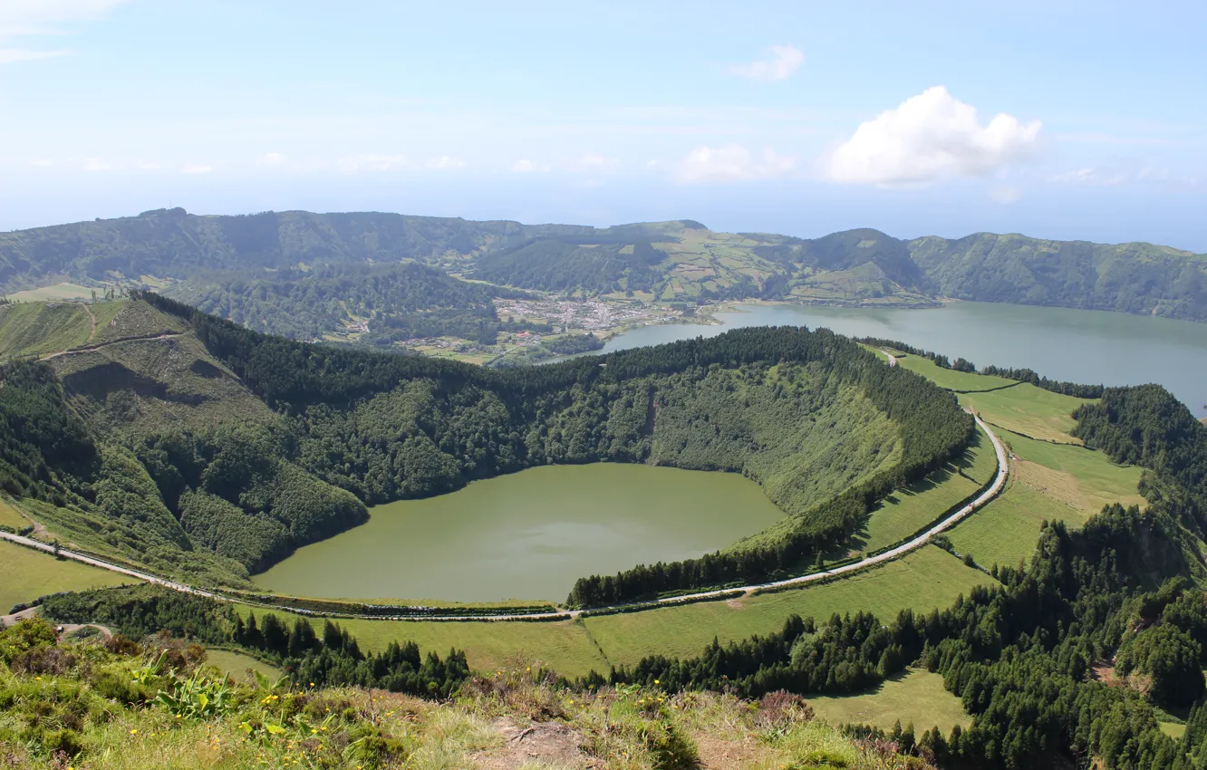 Photo wallpaper green, forest, sky, sea, landscape, lake, tree, sun