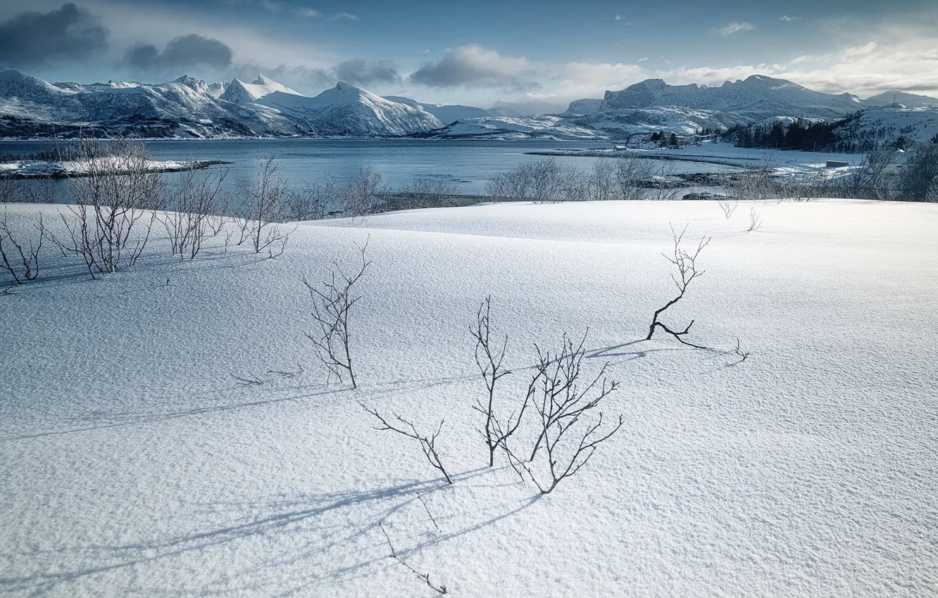 Photo wallpaper snow, Norway, Senja