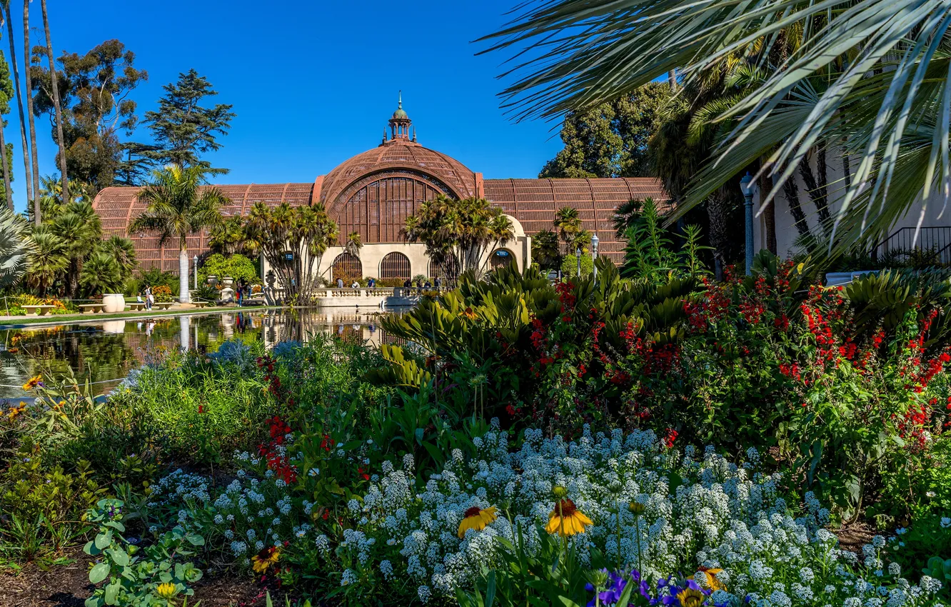 Photo wallpaper the sky, the sun, trees, flowers, pond, Park, palm trees, USA
