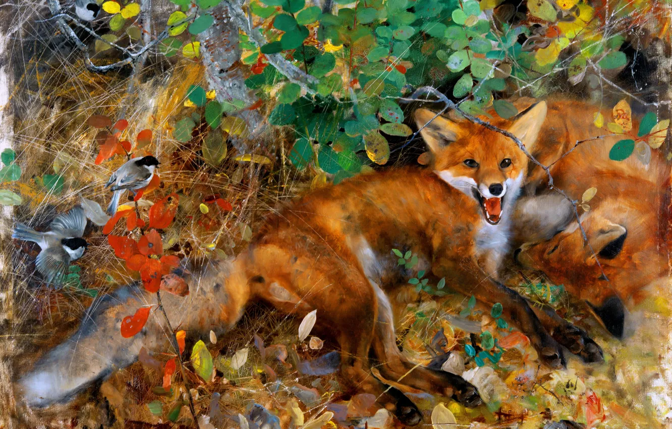 Photo wallpaper branches, animal, two, picture, Fox, red, Bruno Liljefors, Swedish animal painter