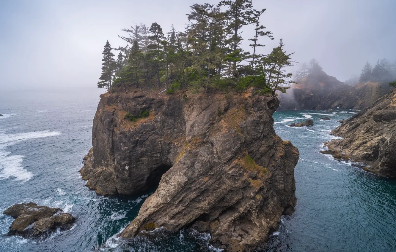 Photo wallpaper water, trees, nature, the ocean, rocks, Oregon, rock, haze