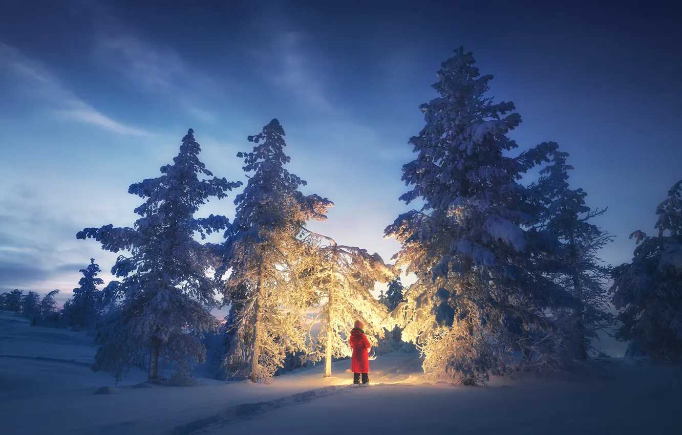 Photo wallpaper winter, light, snow, trees, landscape, nature, woman, the evening
