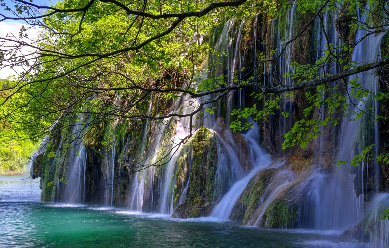 Photo wallpaper trees, rock, lake, waterfall, stream