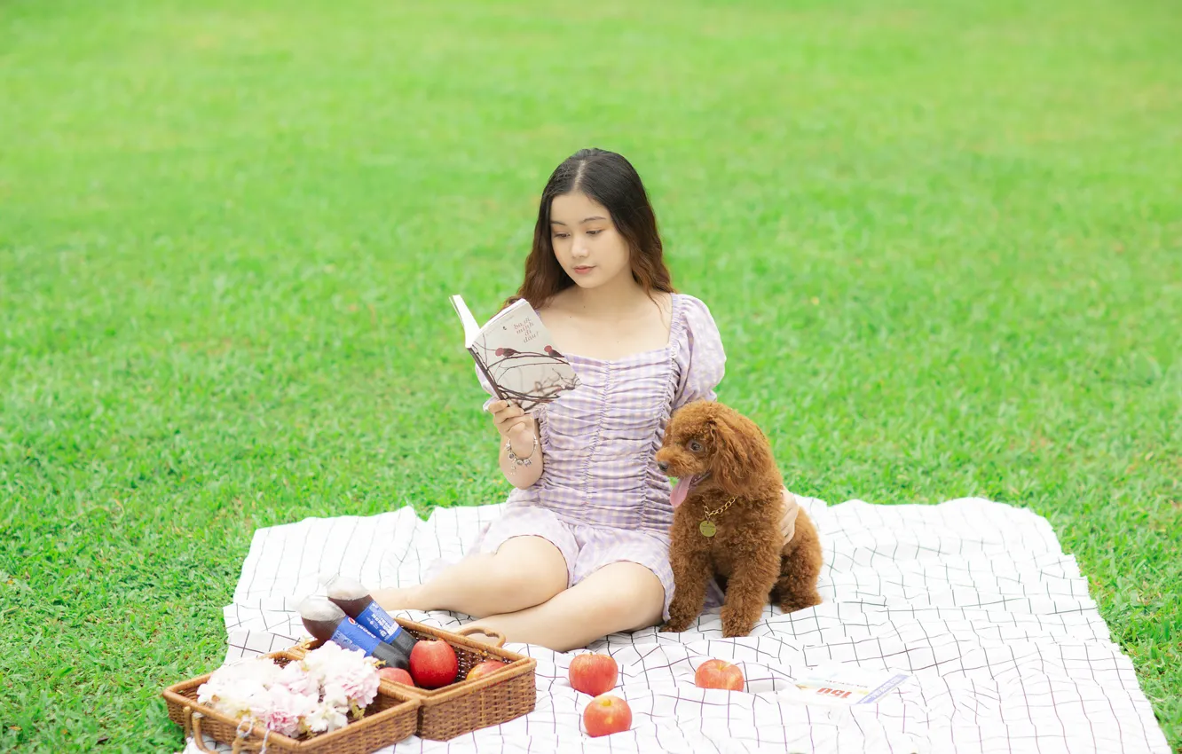 Photo wallpaper basket, apples, dog, Asian, picnic, green lawn, a girl is reading a book